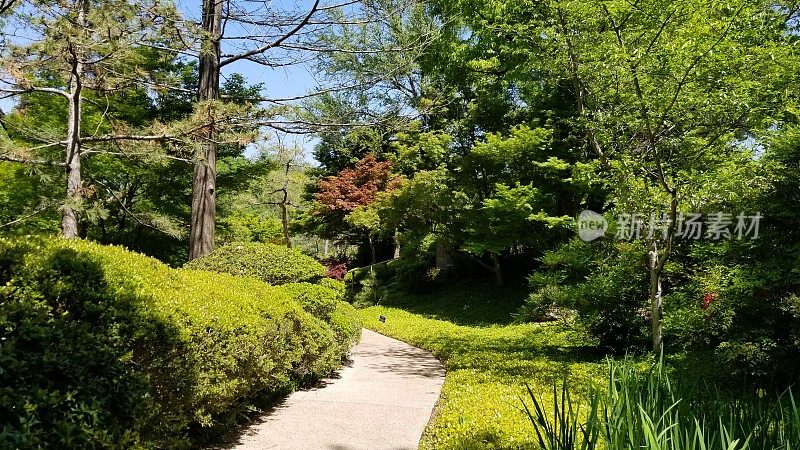 参观Fort Worth, Texas Botanic Park